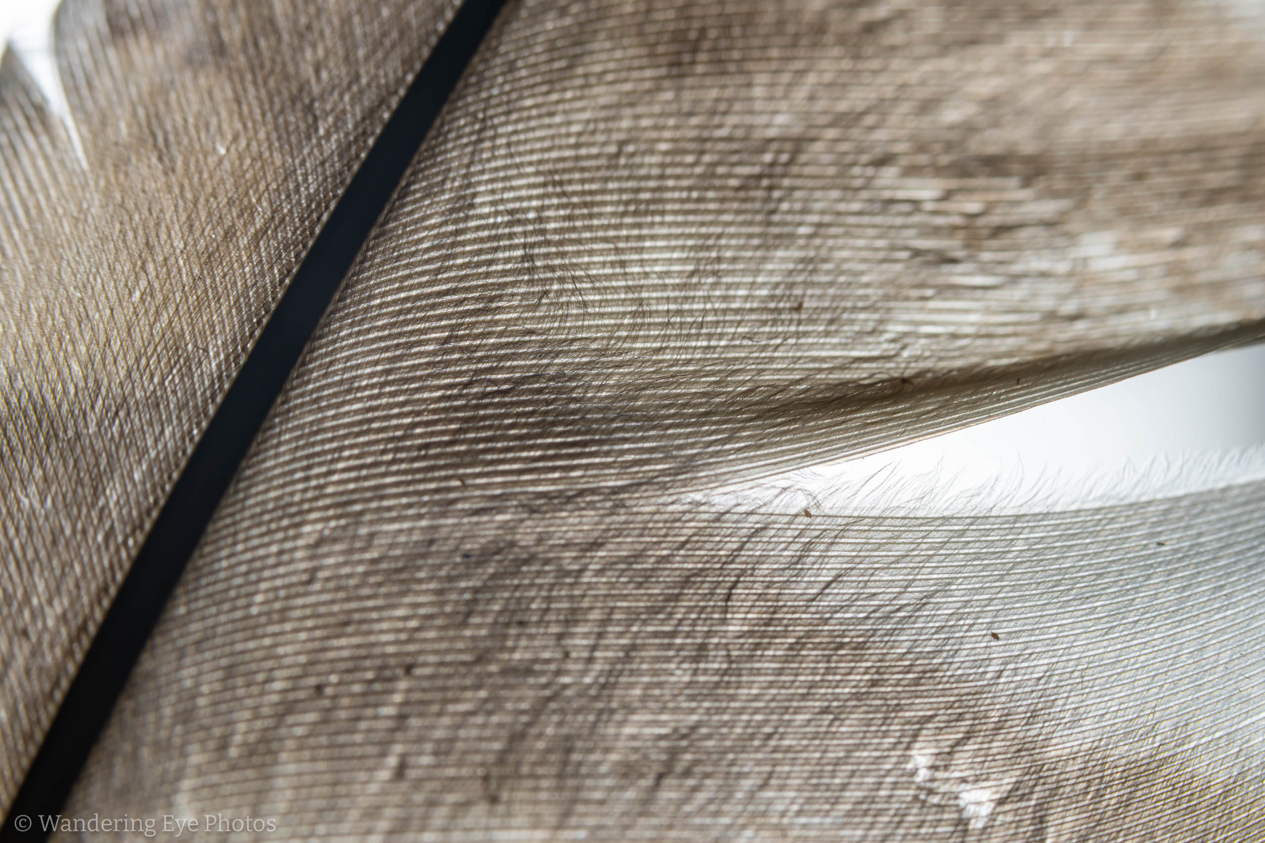 10.29 15.40.18   DSC09121